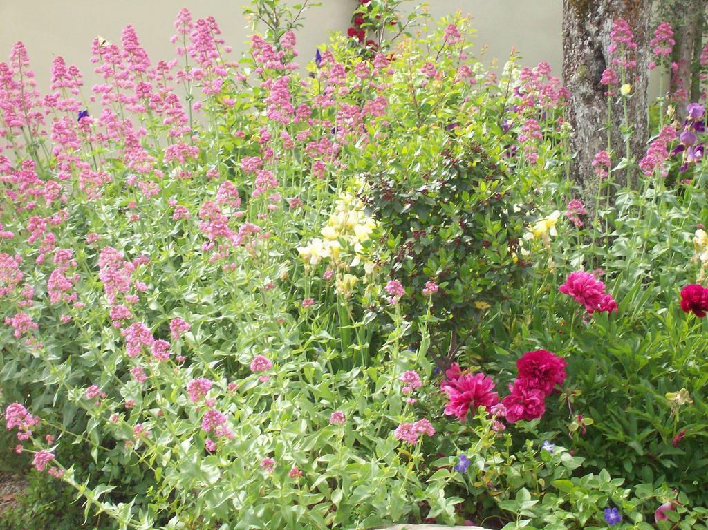 Villa Chiara Pergine Valdarno ภายนอก รูปภาพ